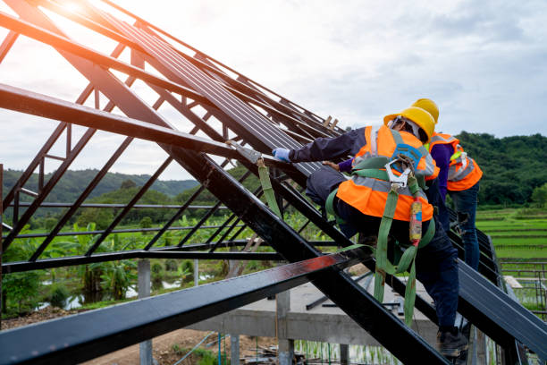 Best Roof Waterproofing Services  in Wagon Wheel, AZ